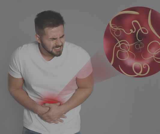 What is Leaky Gut - Ameo Life